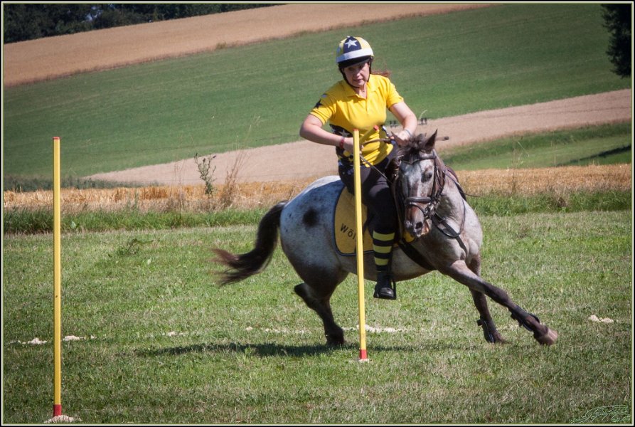 Mounted Games 014